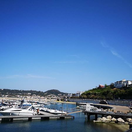 Forio di Ischia B&B La Salamandra Kitchengarden מראה חיצוני תמונה