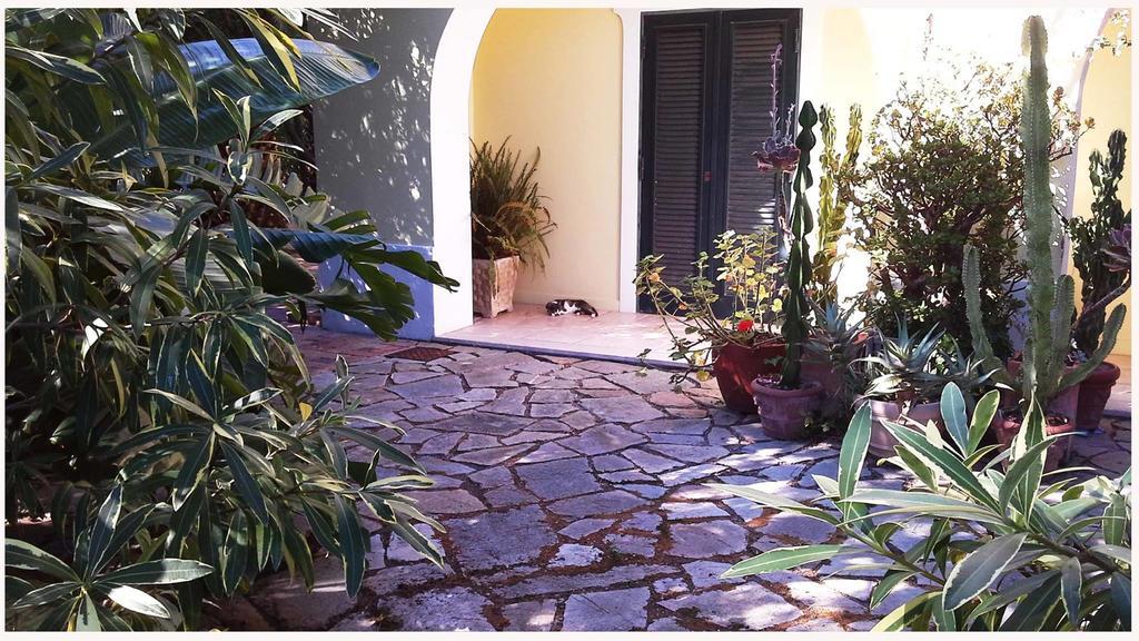 Forio di Ischia B&B La Salamandra Kitchengarden מראה חיצוני תמונה