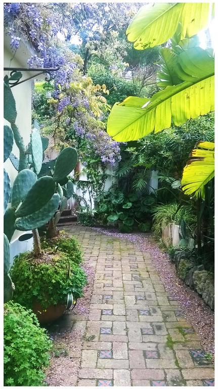 Forio di Ischia B&B La Salamandra Kitchengarden מראה חיצוני תמונה