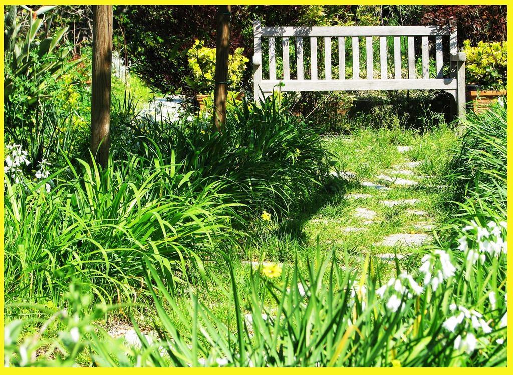 Forio di Ischia B&B La Salamandra Kitchengarden מראה חיצוני תמונה