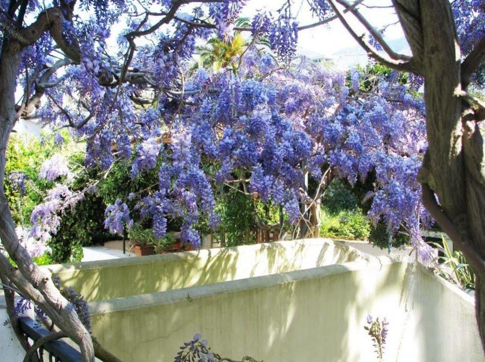 Forio di Ischia B&B La Salamandra Kitchengarden מראה חיצוני תמונה