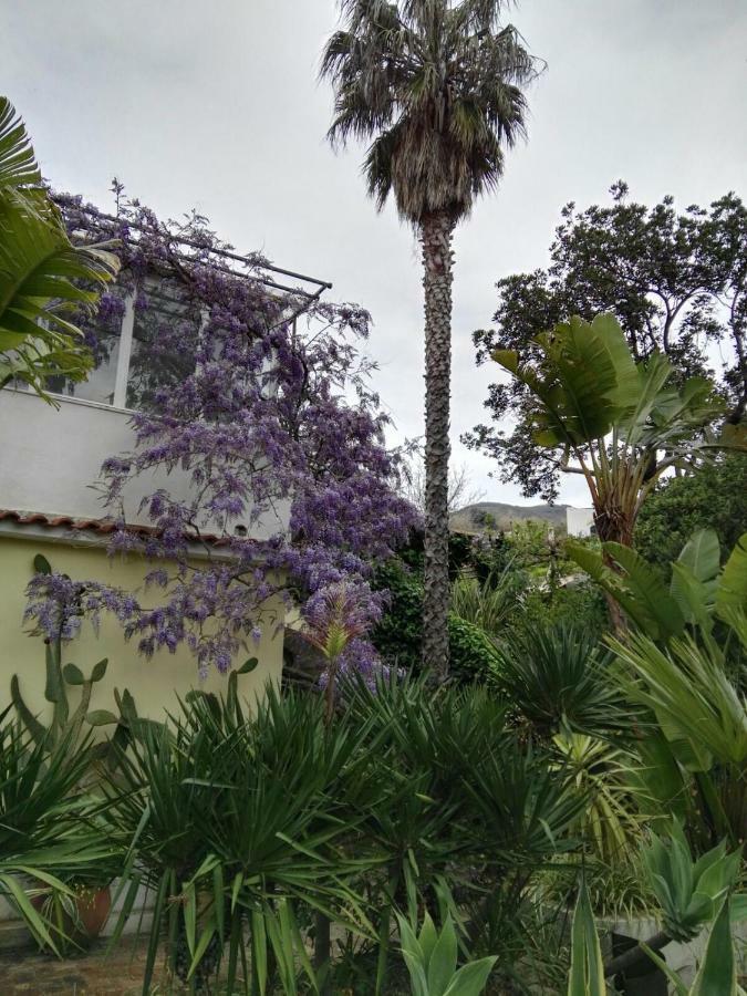 Forio di Ischia B&B La Salamandra Kitchengarden מראה חיצוני תמונה
